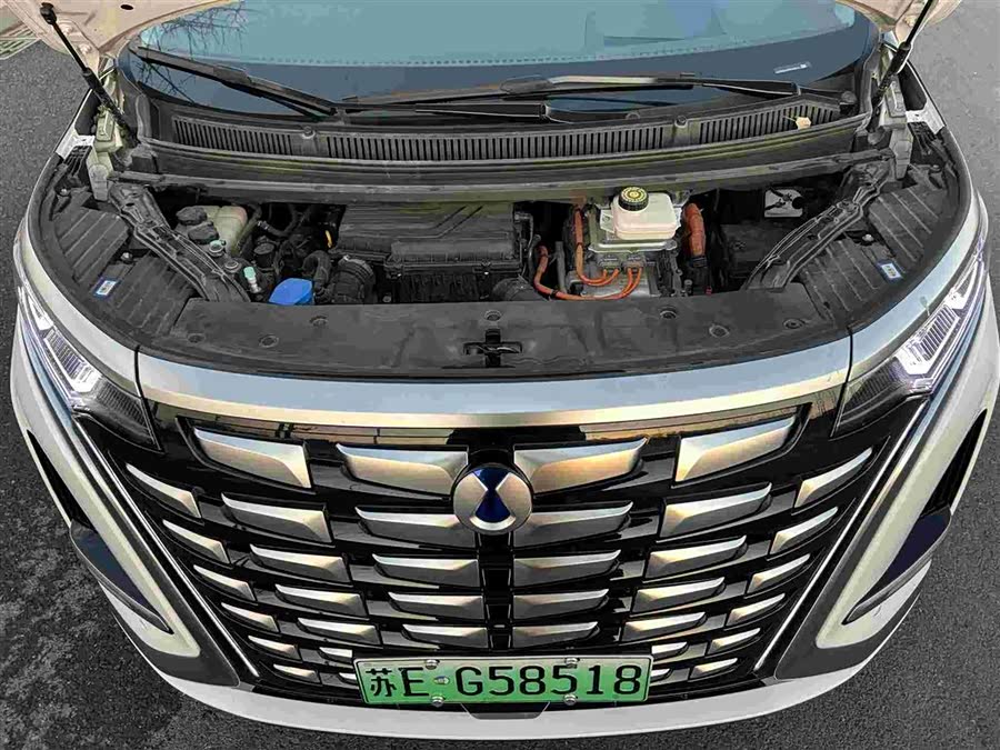 Denza D9 2023 immagine di auto #15