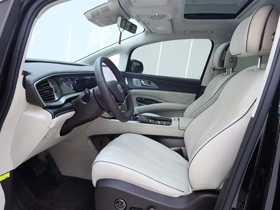 Denza D9 2024 car image #15