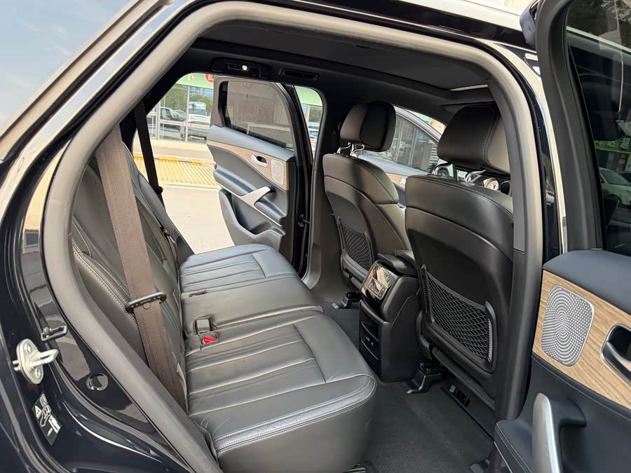 Denza X 2021 car image #15