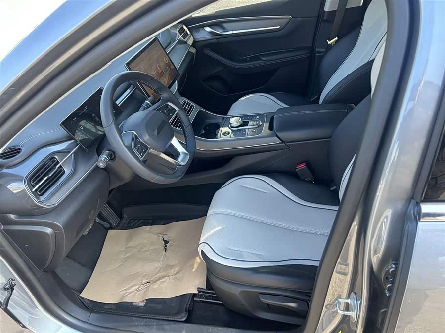 BYD Destroyer 05 2024 car image #15