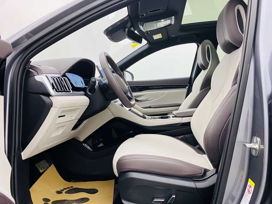 BYD Song Plus New Energy 2025 car image #15