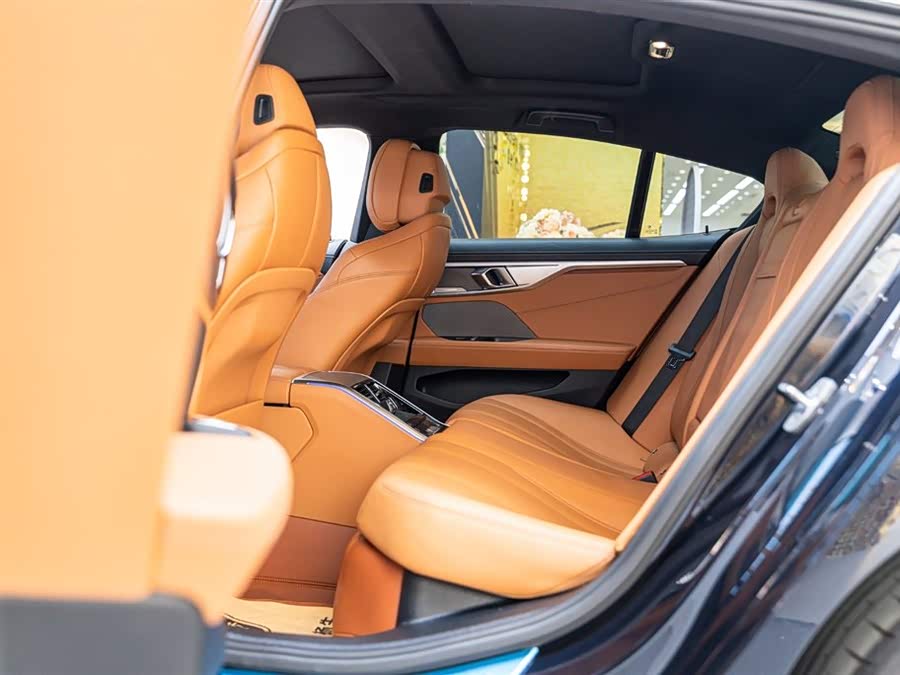 BMW 8 Series 2024 car image #15