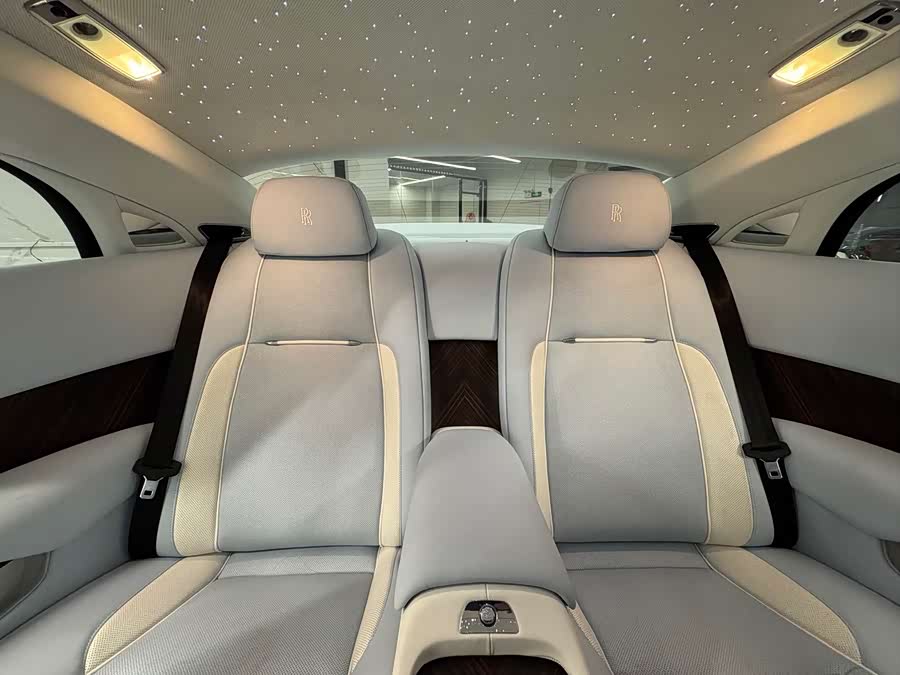 Denza Wraith 2014 car image #15