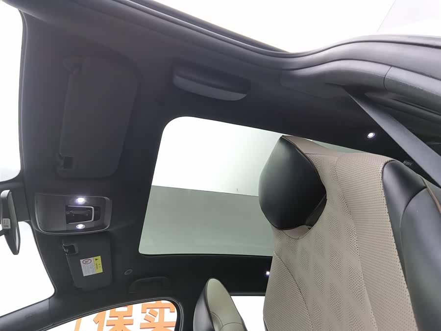 BYD Dolphin 2023 car image #15