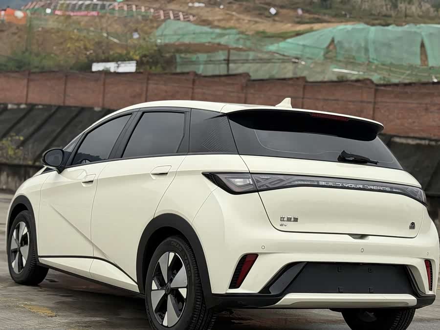 BYD Dolphin 2023 immagine di auto #15