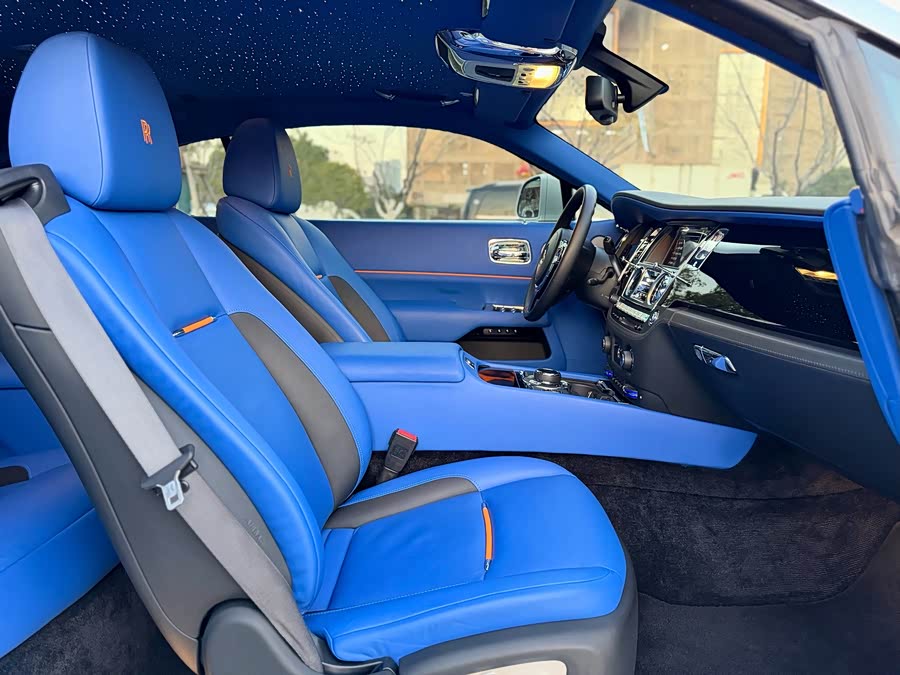 Denza Wraith 2017 car image #15