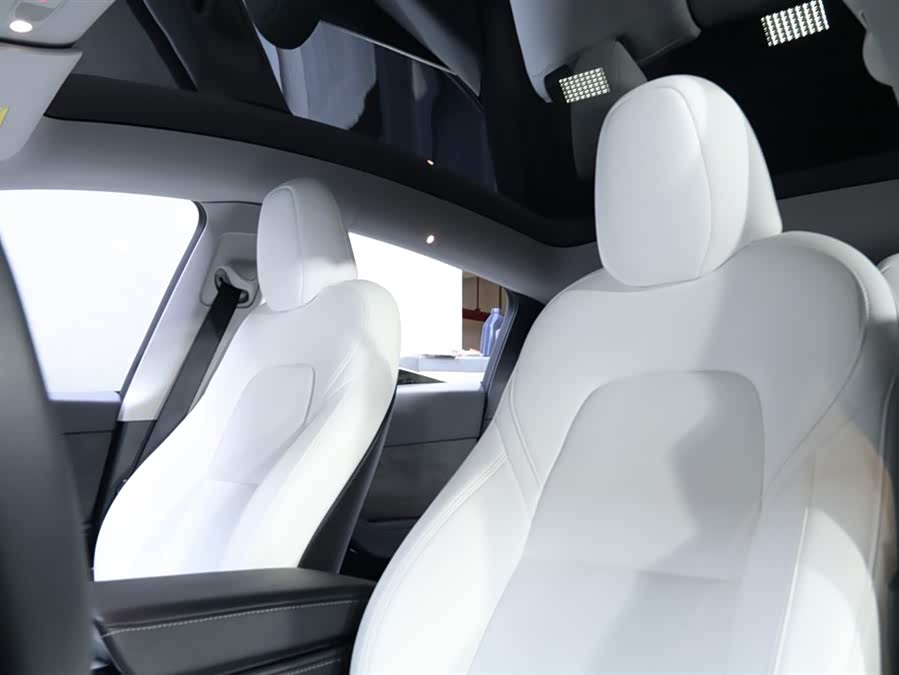 Tesla Model Y 2023 car image #15