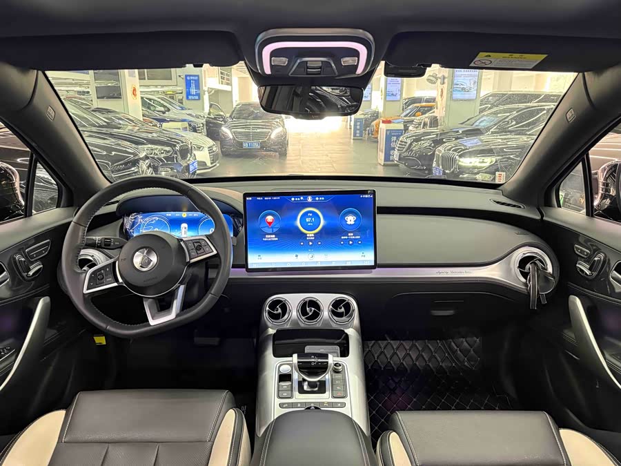 Denza X 2020 car image #15