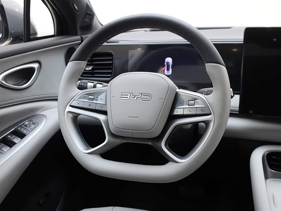 BYD Sea Lion 06 New Energy 2025 car image #15