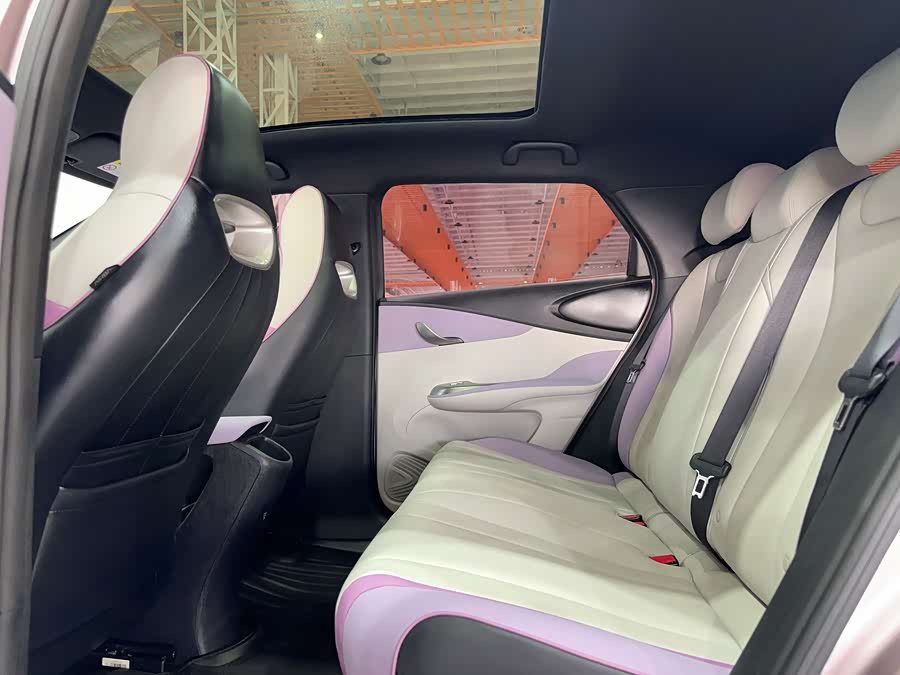 BYD Dolphin 2022 #15 BYD Dolphin 2022 immagine di auto #15