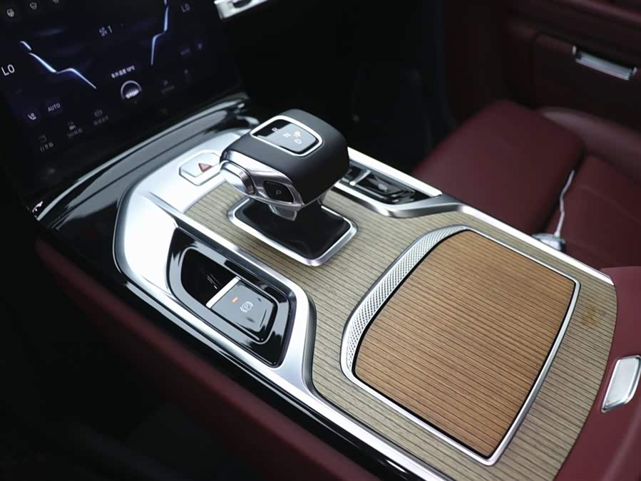 HongQi E-HS9 2023 изображение автомобиля #15