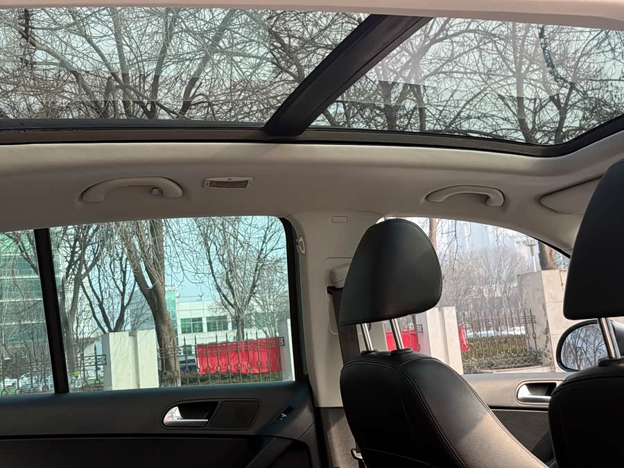 大众 Tiguan 2011 汽车图片 #15