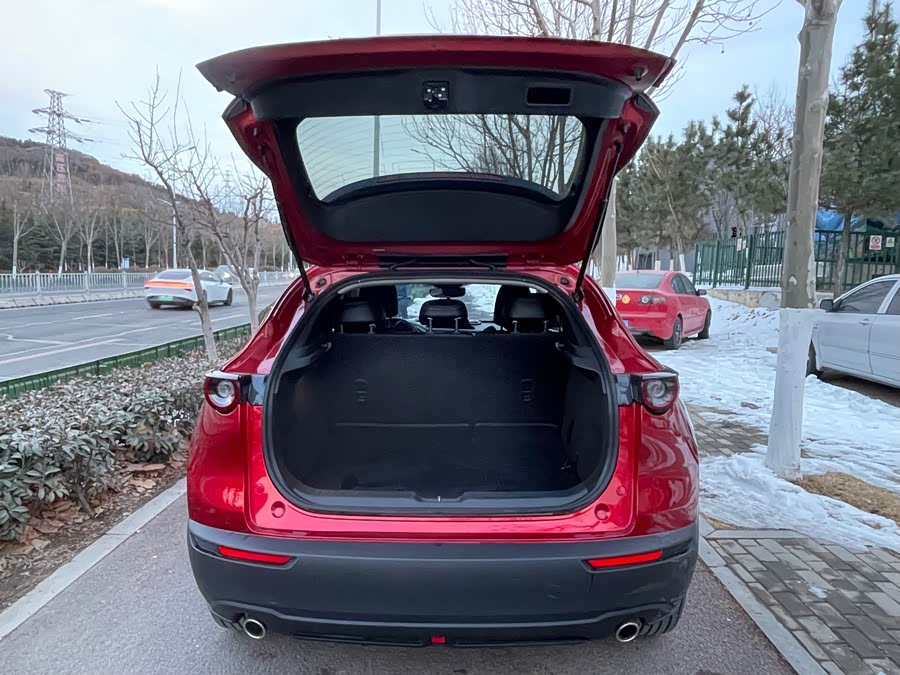 Mazda CX-30 2020 car image #15