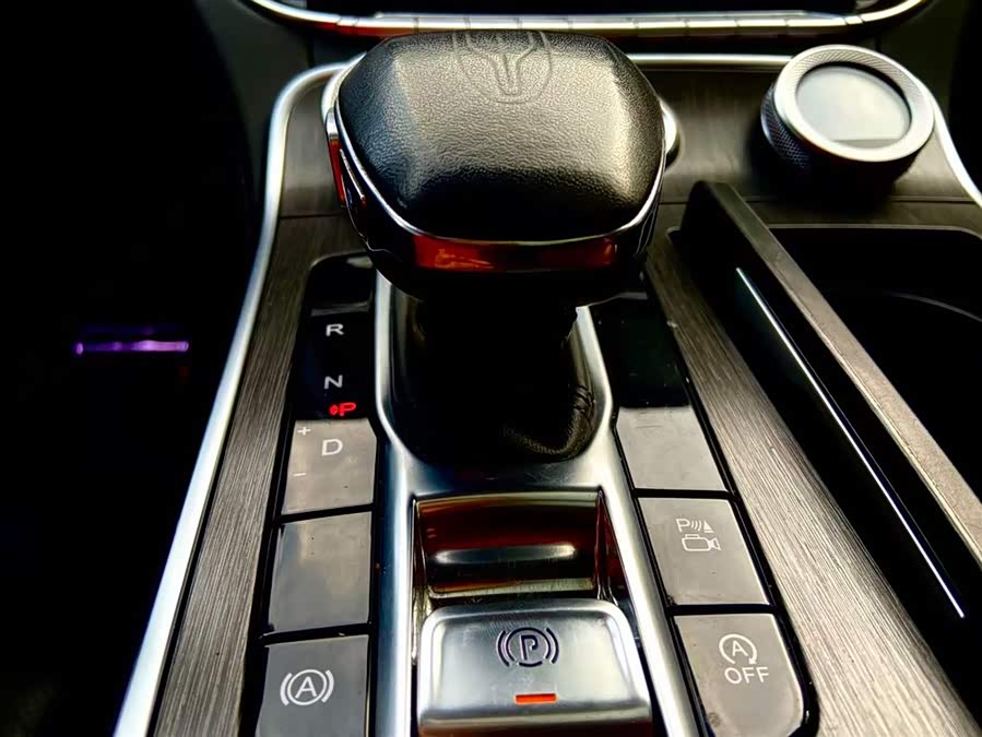 HongQi H9 2023 car image #15