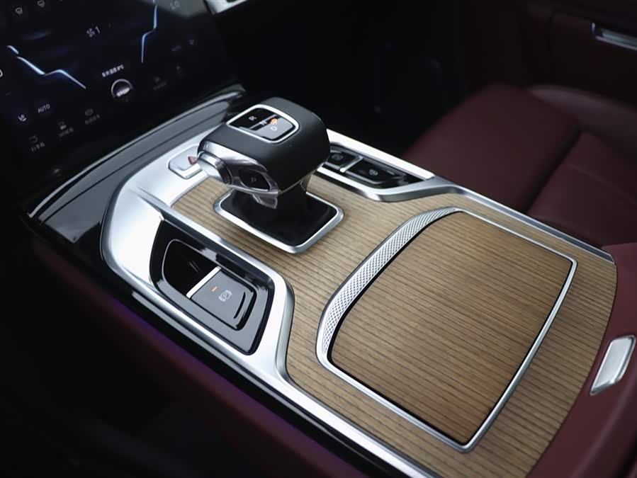 HongQi E-HS9 2023 immagine di auto #15