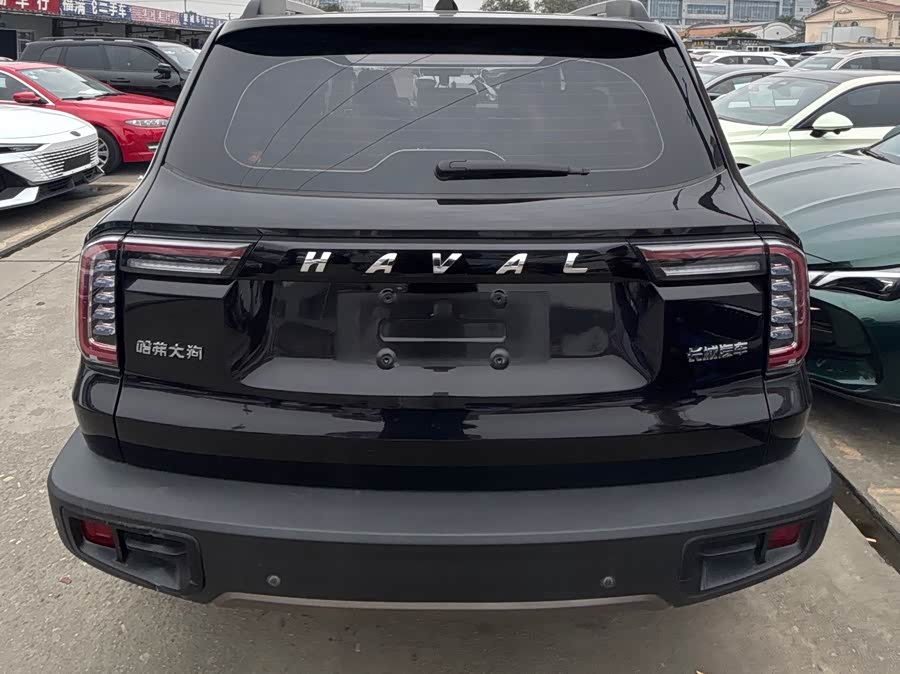 Haval X Dog / Dargo 2020 #15 Haval X Dog / Dargo 2020 car image #15