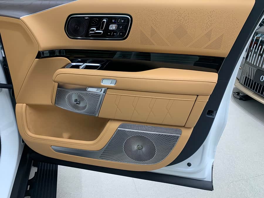 极氪 极氪9X 汽车图片 #15