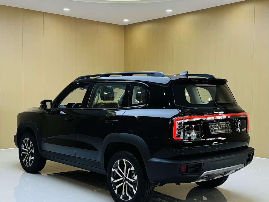 Haval X Dog / Dargo 2025 #15 Haval X Dog / Dargo 2025 immagine di auto #15