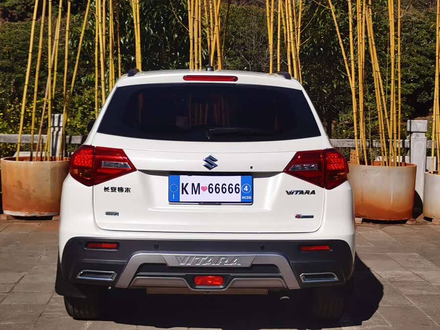 Suzuki Vitara 2016 image de voiture #15