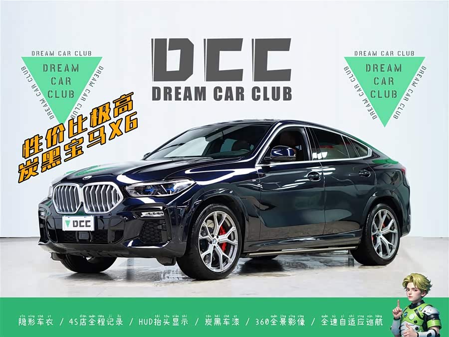 BMW X6 2021 car image #15