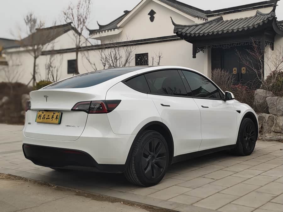 Tesla Model Y 2024 car image #15
