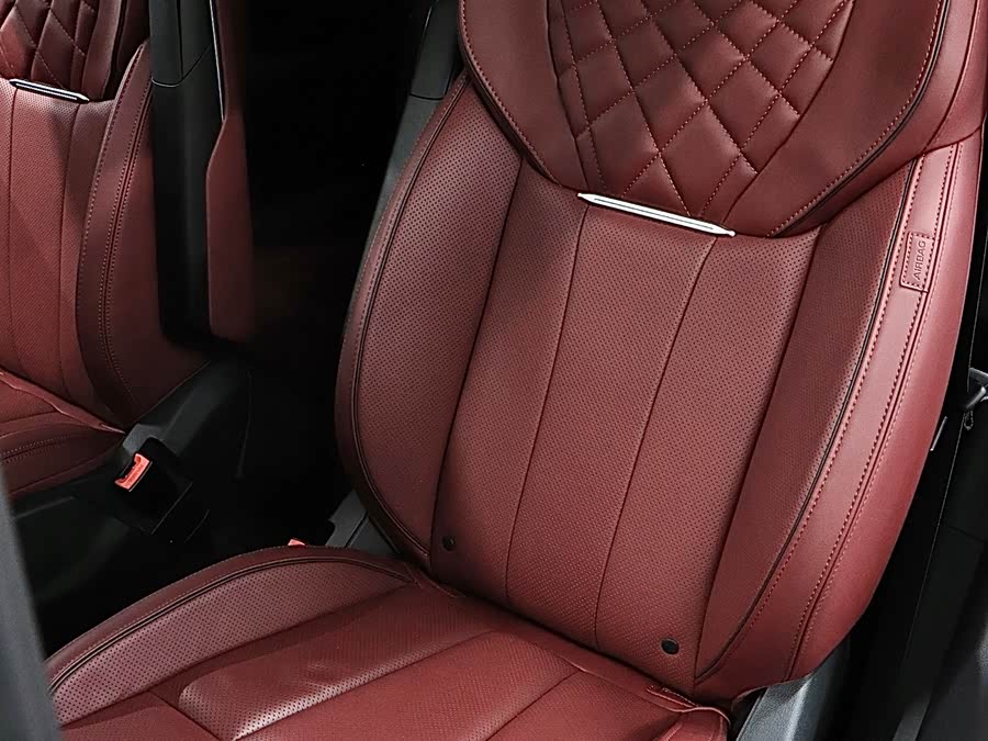 HongQi E-HS9 2023 immagine di auto #15