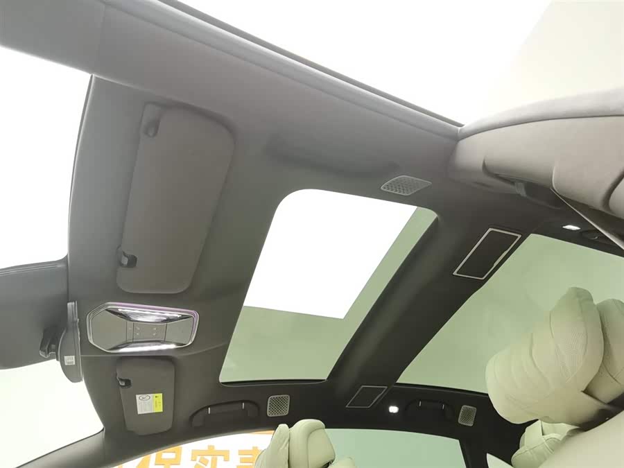 Denza Z9 2024 immagine di auto #15