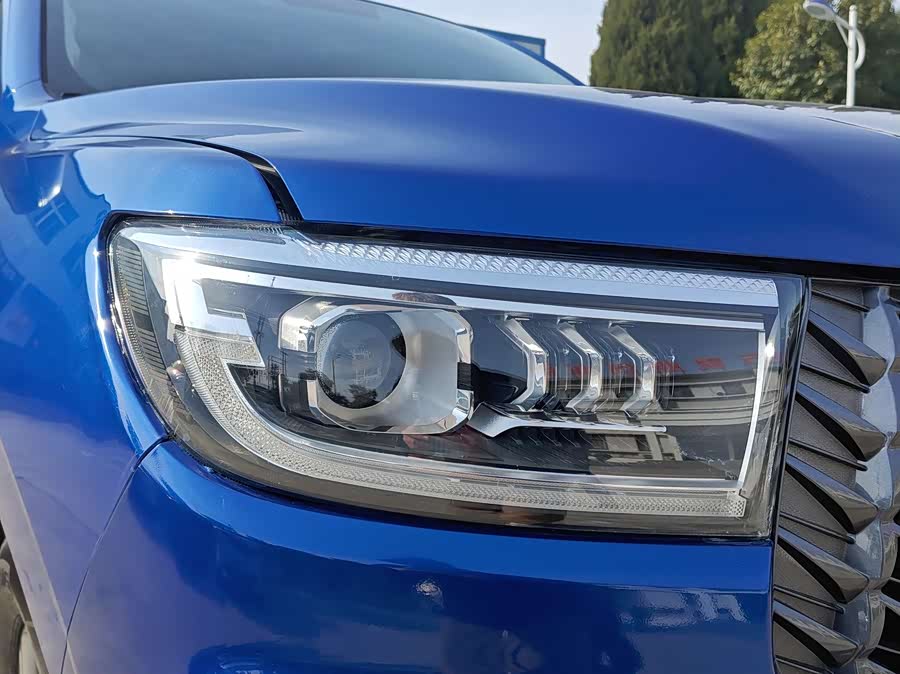 Great Wall Poer 2023 car image #15