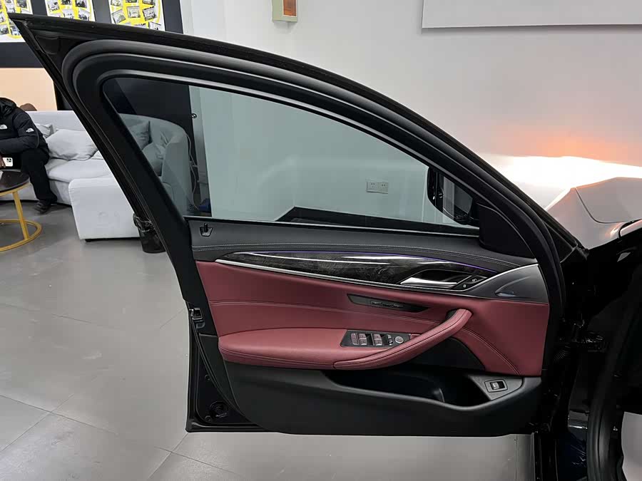 BMW 5 Series 2020 car image #15