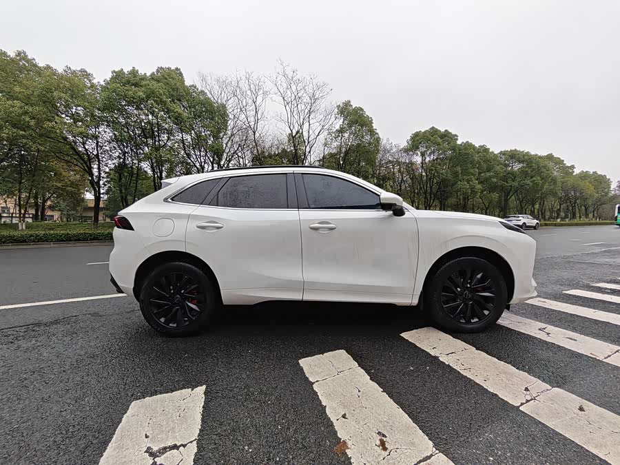 Forthing T5 EVO 2021 car image #15