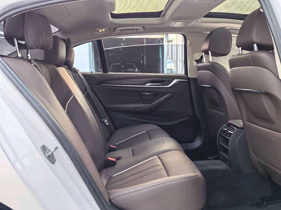 BMW 5 Series 2021 car image #15