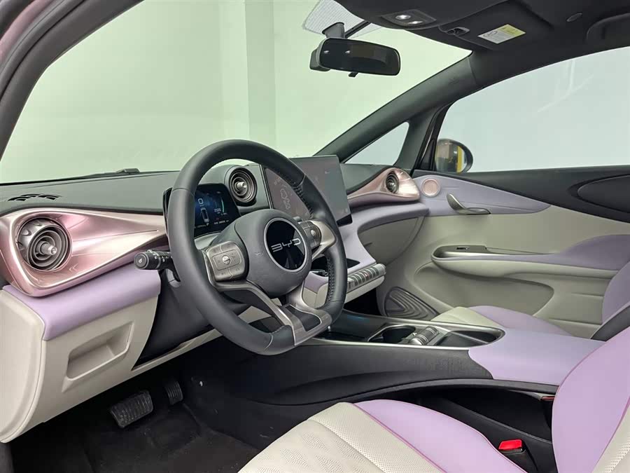 BYD Dolphin 2023 immagine di auto #15