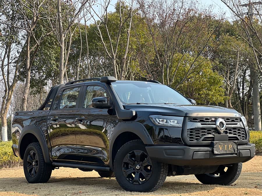 Great Wall Poer 2023 car image #15