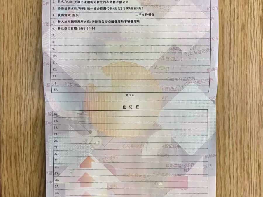 BYD Xia 2024 #15 BYD Xia 2024 imagen de coche #15