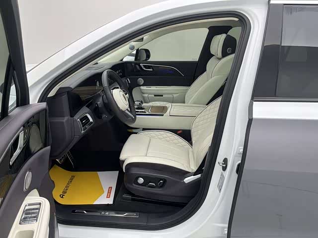 HongQi E-HS9 2023 car image #15