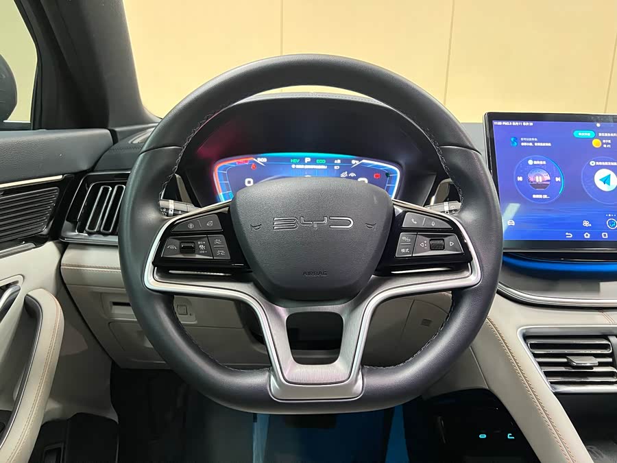 BYD Song Plus New Energy 2024 car image #15