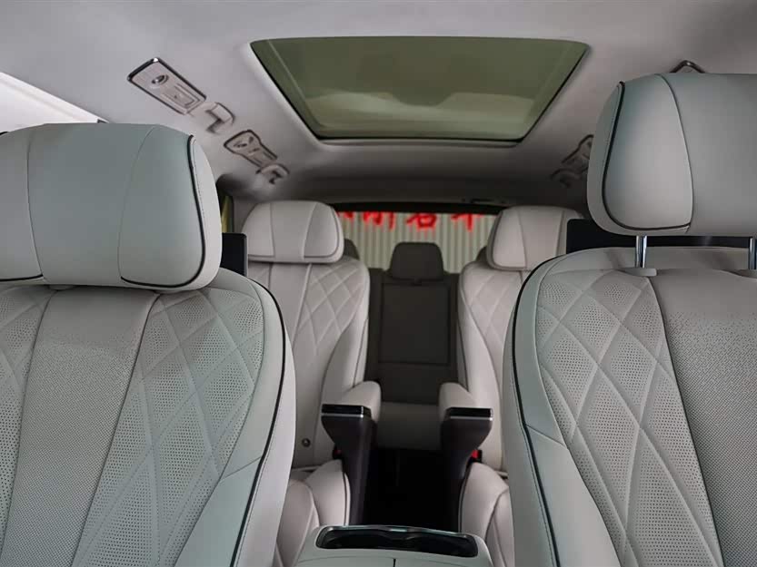 Denza D9 2024 imagem de carro #15