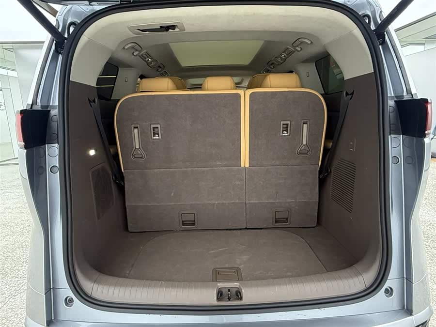 Denza D9 2023 изображение автомобиля #15