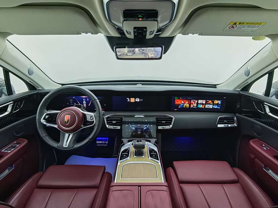 HongQi E-HS9 2023 car image #15