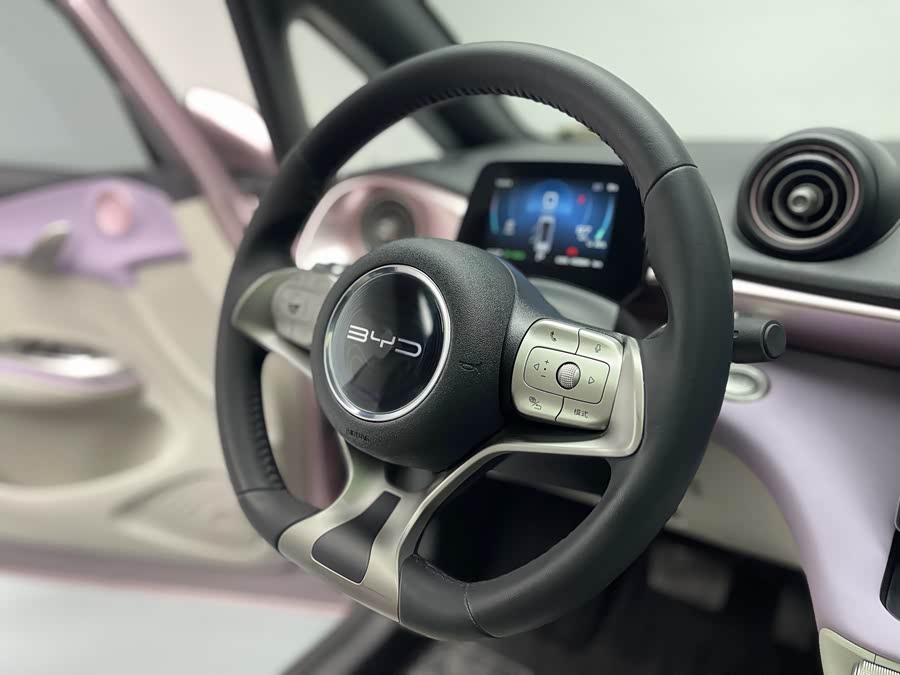 BYD Dolphin 2022 صورة سيارة #15