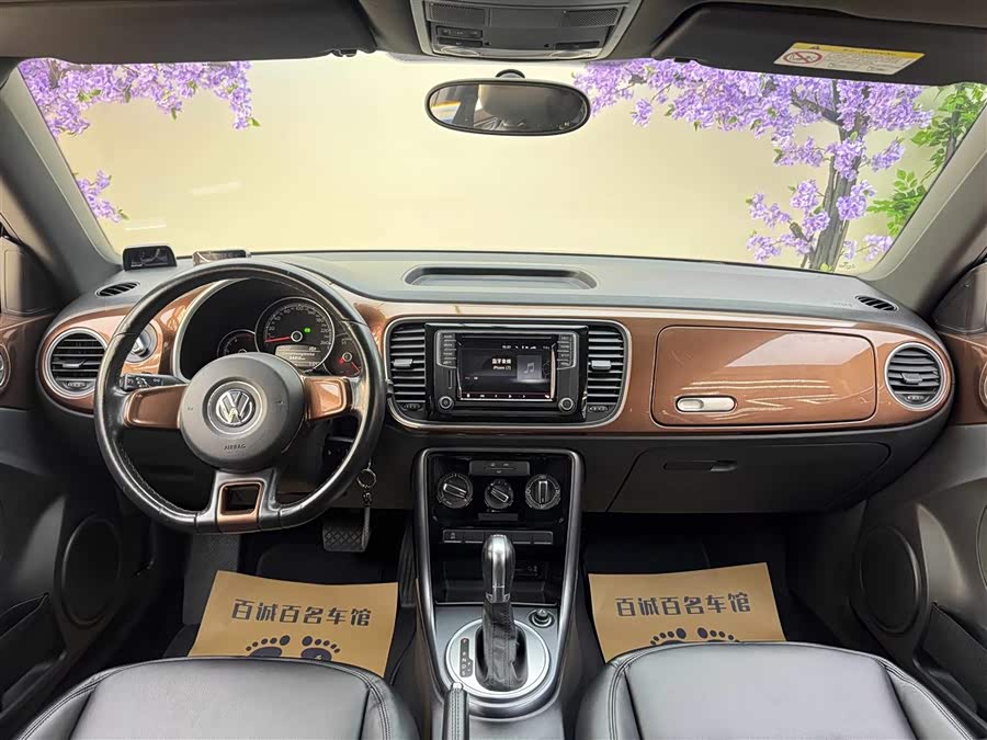 Volkswagen Beetle 2017 immagine di auto #15