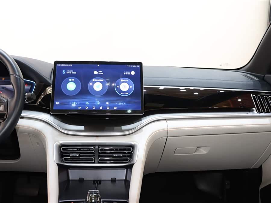 BYD Song Plus New Energy 2023 immagine di auto #15