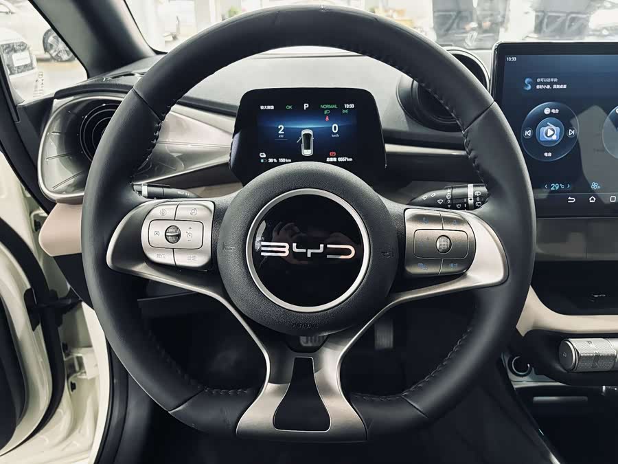 BYD Dolphin 2024 imagem de carro #15