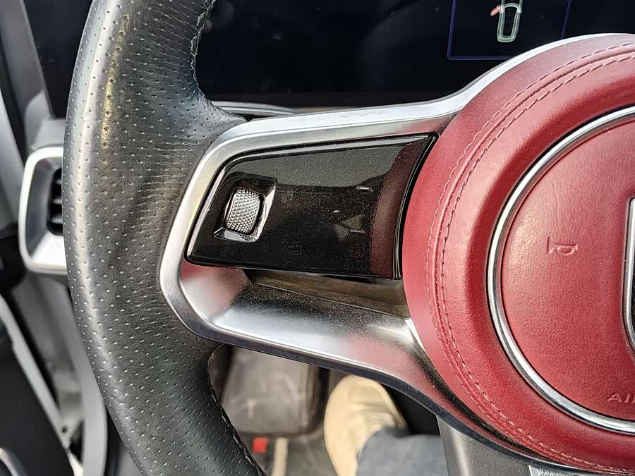 HongQi E-HS9 2021 immagine di auto #15