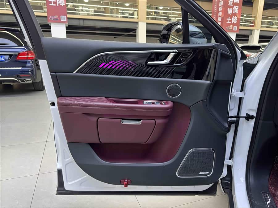 HongQi E-HS9 2021 image de voiture #15