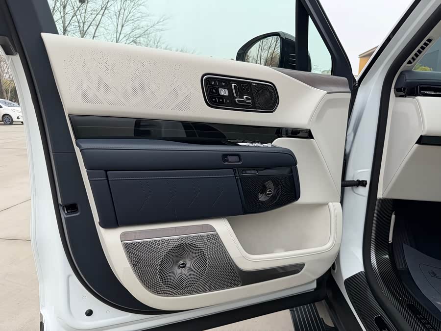 极氪 极氪9X 2025 汽车图片 #15