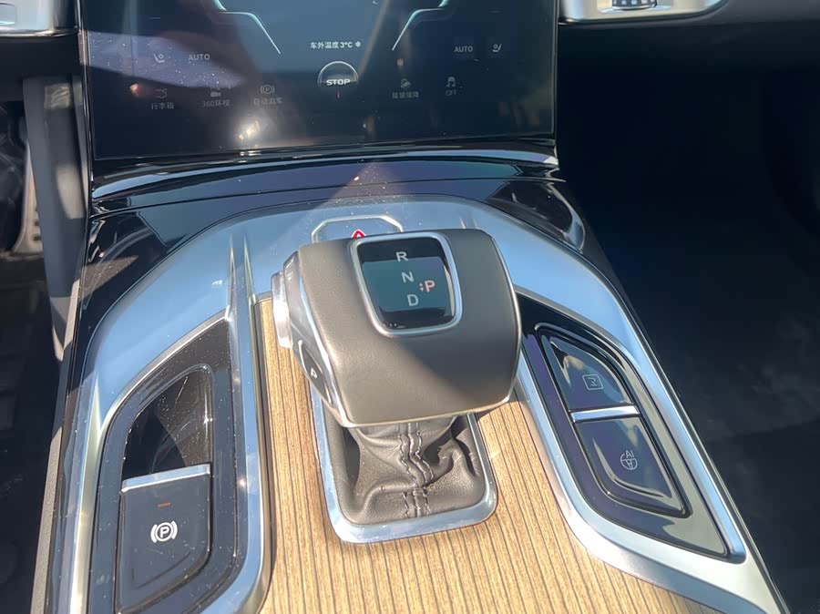 HongQi E-HS9 2023 image de voiture #15