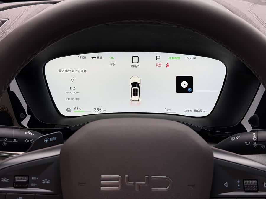 BYD Song Plus New Energy 2025 car image #15