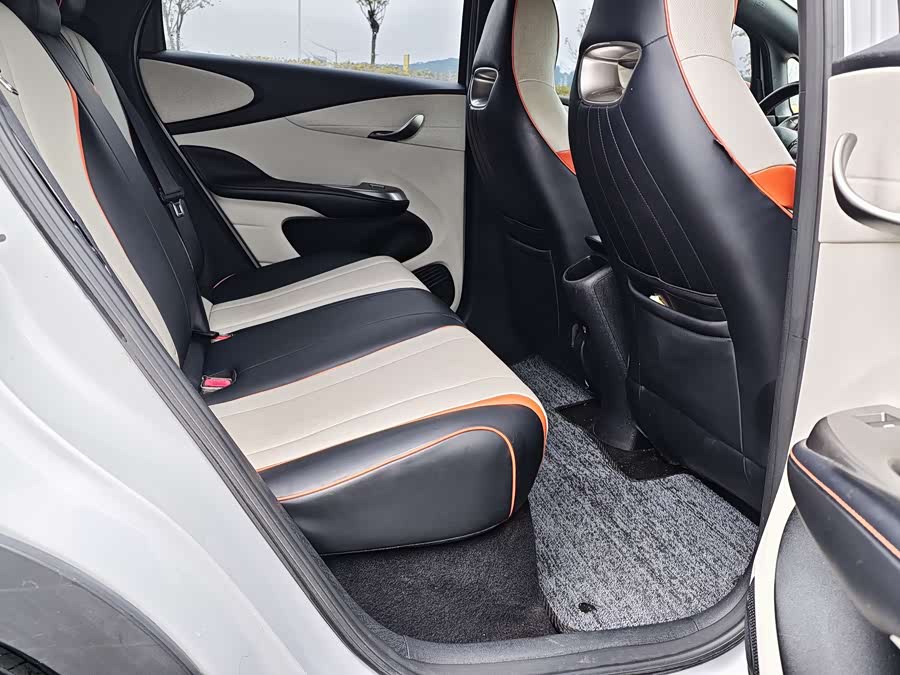 BYD Dolphin 2021 imagen de coche #15