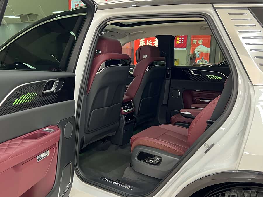 HongQi E-HS9 2023 immagine di auto #15